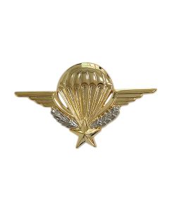 BREVET PARA CHEF SECTION